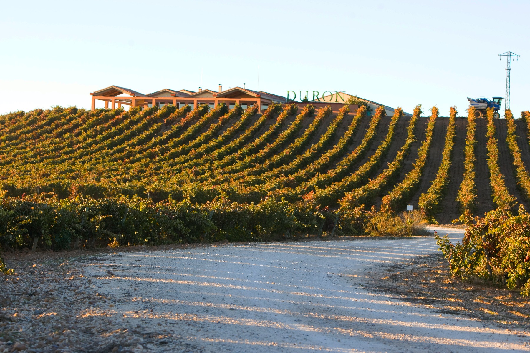 Experiencia gastronómica Bodegas Durón