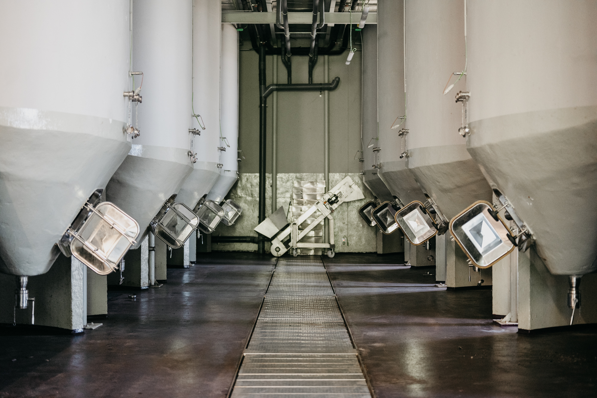 Depósitos de hormigón en Bodegas Solar de Samaniego