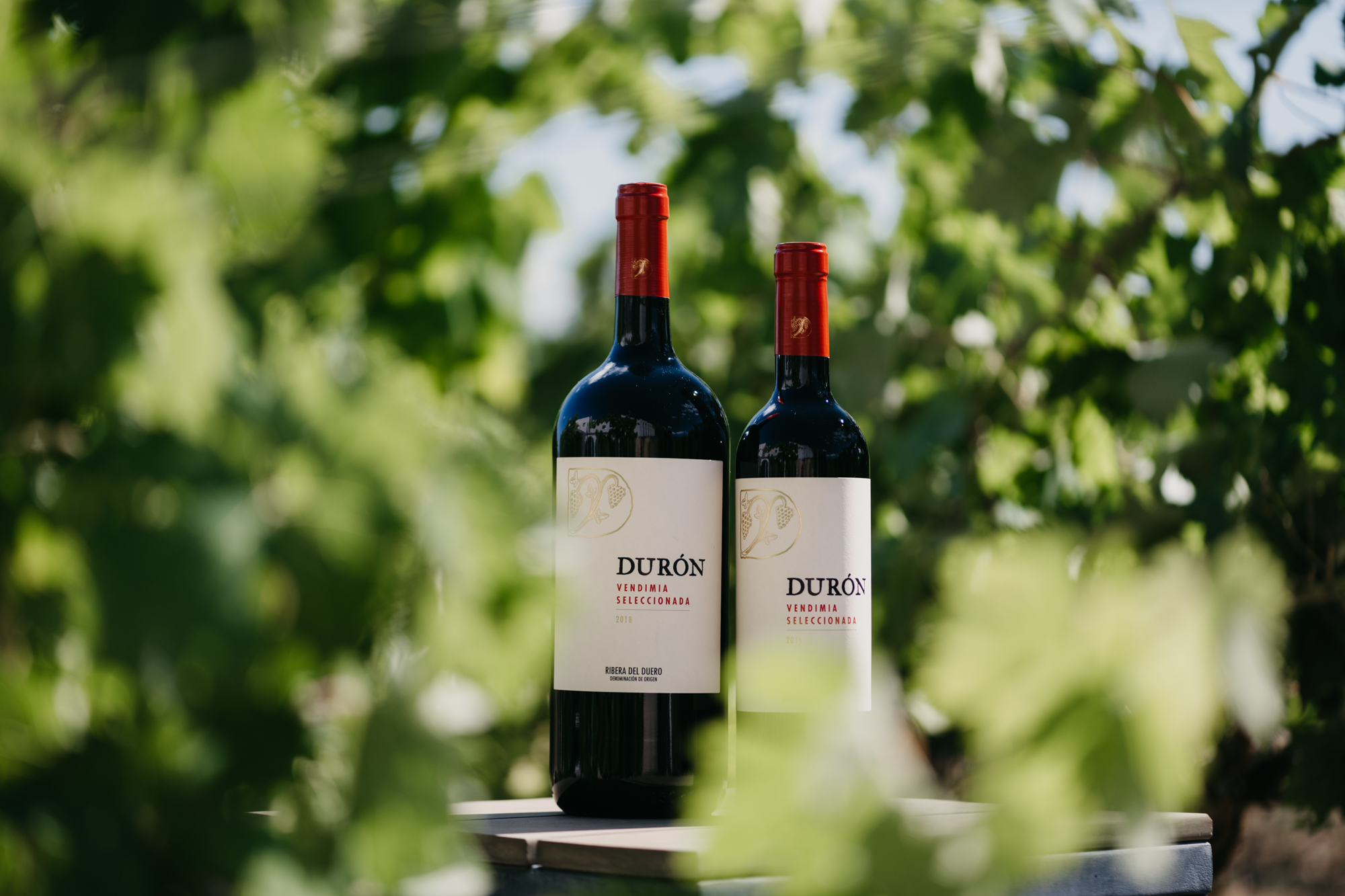 Variedades de vino tinto suaves y frescos