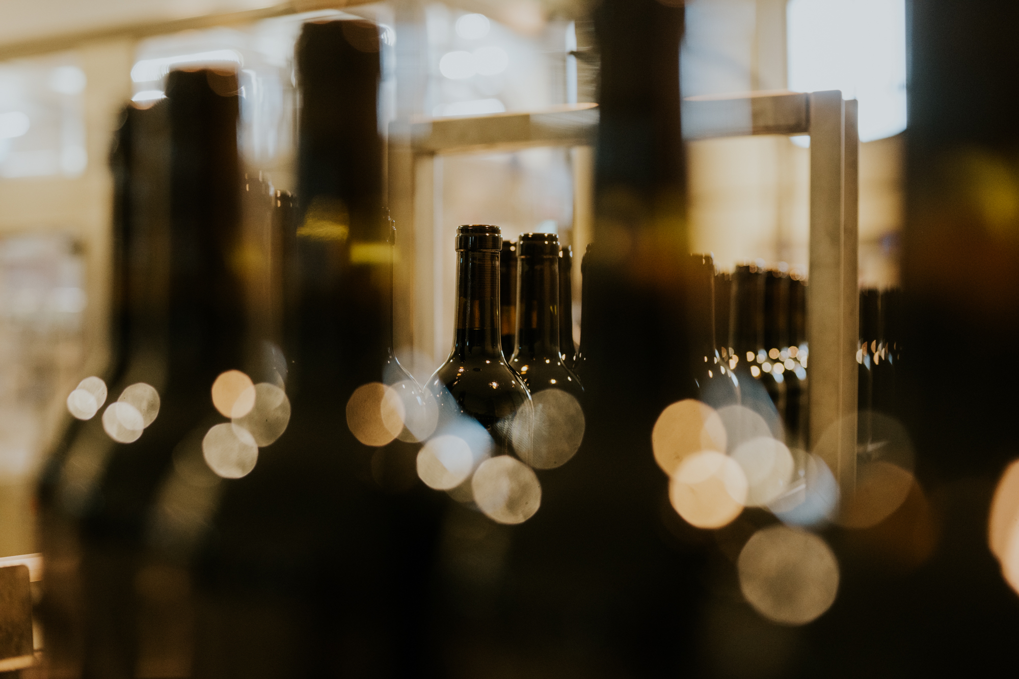 Diferencias dentro de los vinos tintos