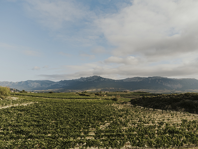 Rioja alavesa