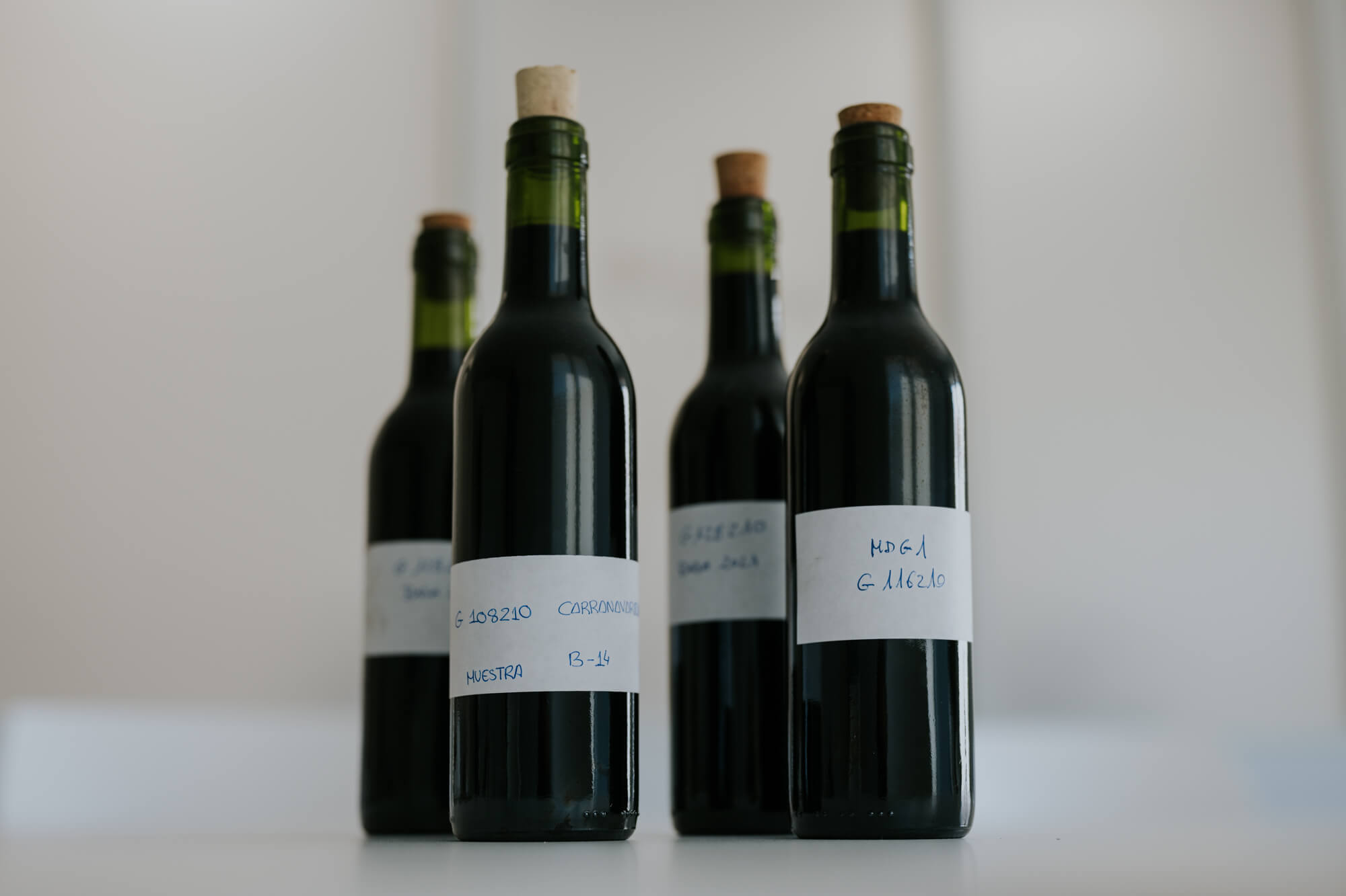 Vino cabernet sauvignon