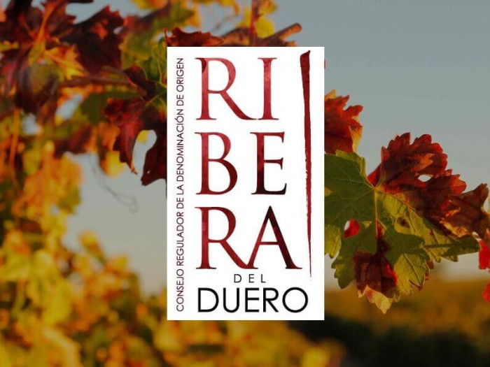 bodegas durón Ribera del Duero