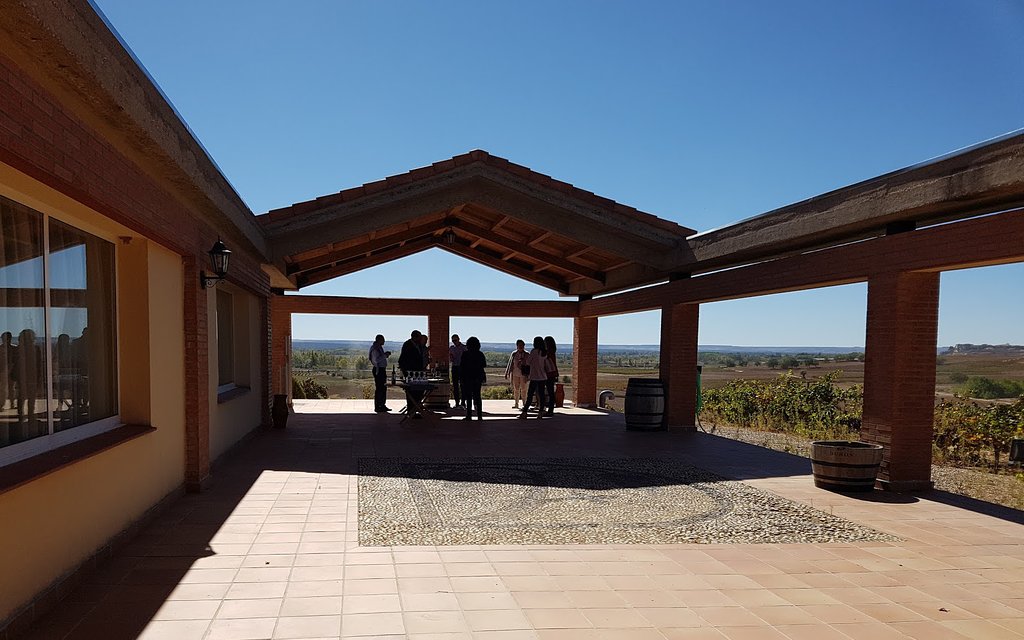 Terraza de Bodegas Durón
