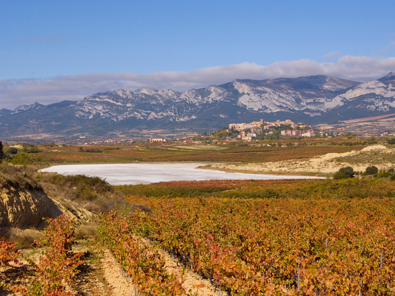 Finca Carravalseca Laguardia