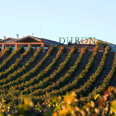 Enoturismo en Ribera del Duero