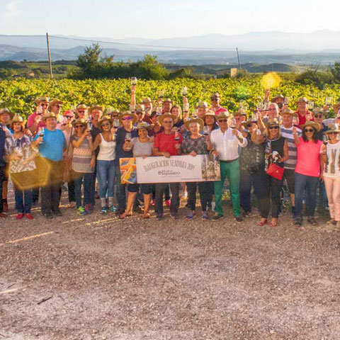 Programa de recomendación